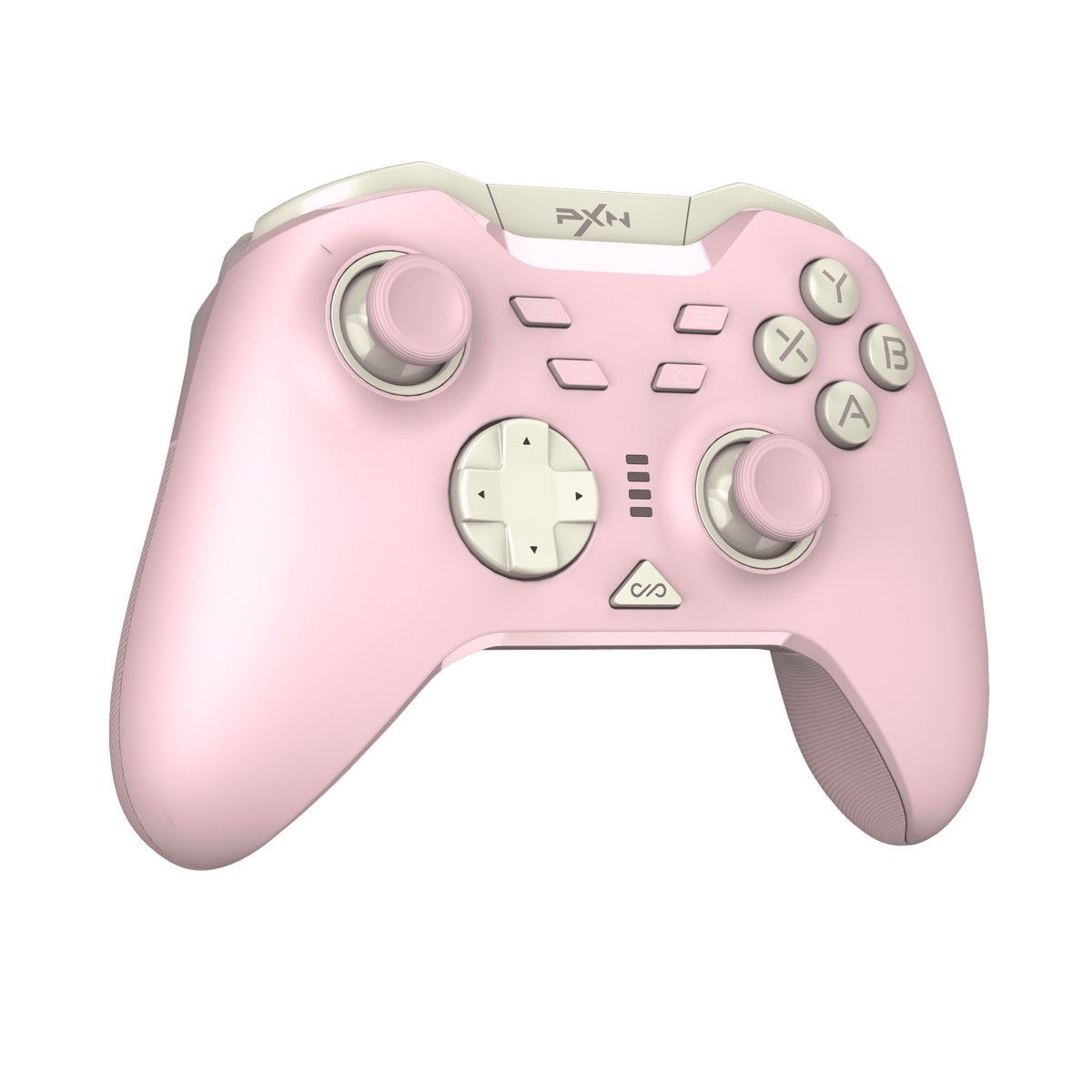 Roze PXN P5 detail
